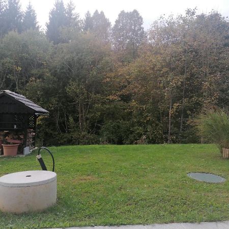 Apartma Gace Semic Exteriör bild